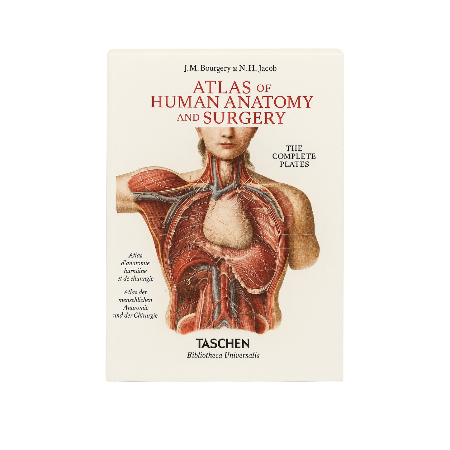 Atlas of Human Anatomy