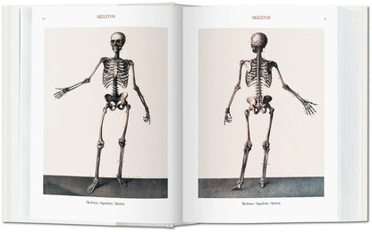 Atlas of Human Anatomy