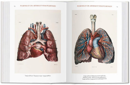 Atlas of Human Anatomy